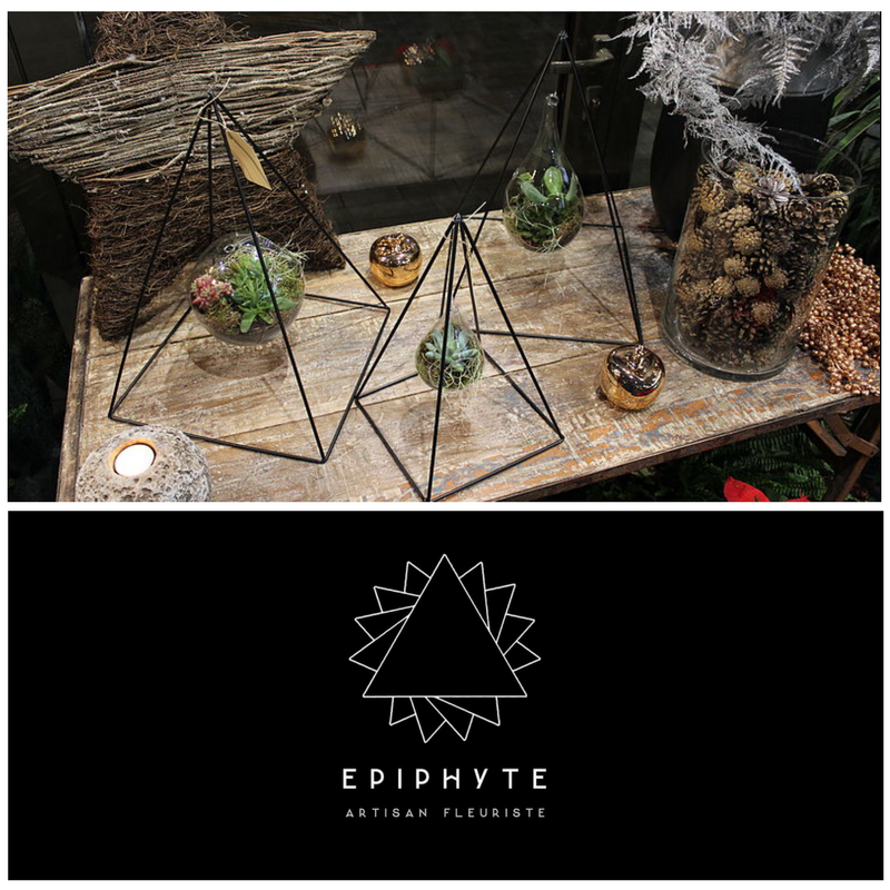 Epiphyte Paris - Message In A Window