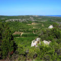 ACO coteaux du Languedoc La Clape